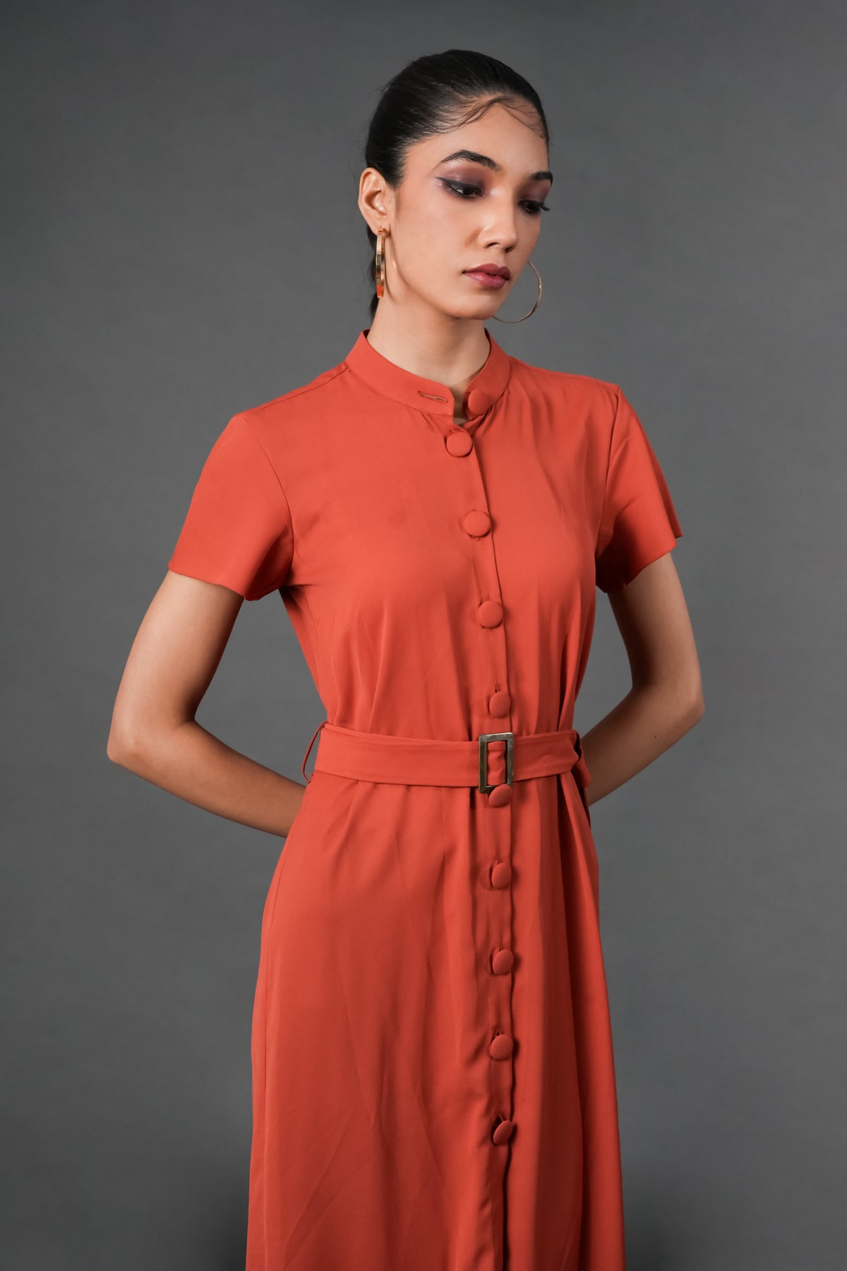 Rust Georgette Shirt Dress